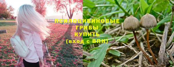 трава Алзамай