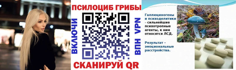 как найти наркотики  Сухой Лог  МЕГА маркетплейс  Галлюциногенные грибы GOLDEN TEACHER 